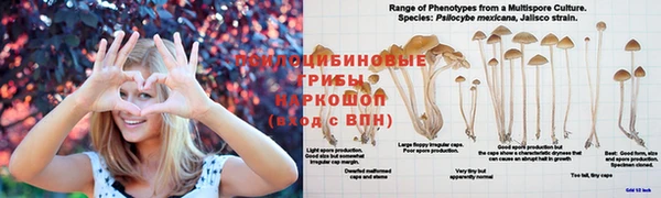 мяу мяу кристалл Балахна