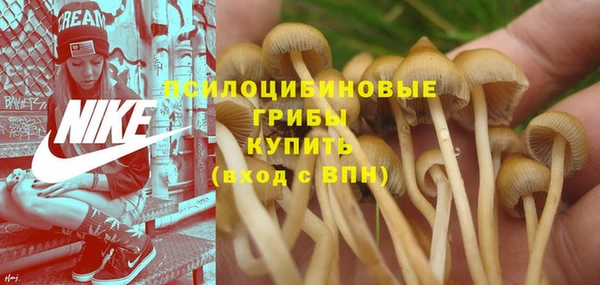 прущая мука Армянск